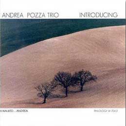 Andrea Pozza - Introducing